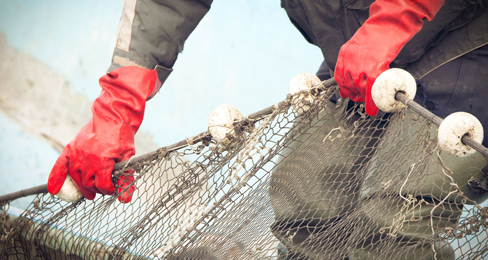 A person in protective clothing holds a fishing net with weights.