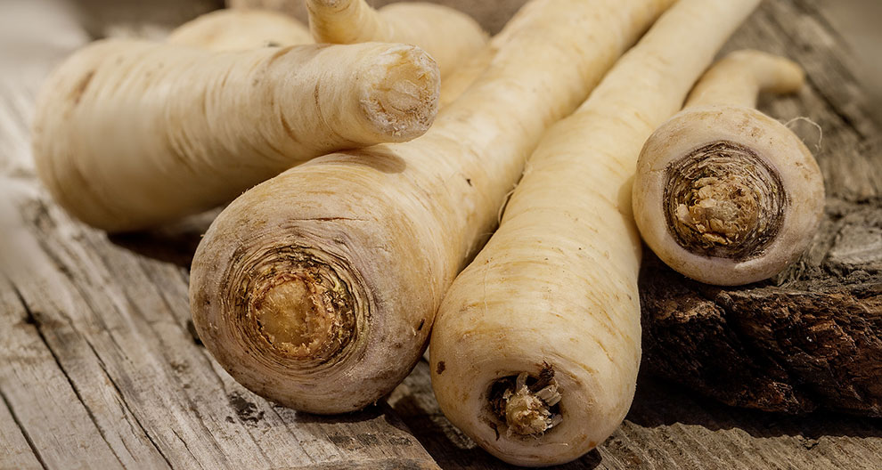 Several parsnips with a pale, creamy color and a textured, concentric ring pattern are displayed on a rustic wooden surface.