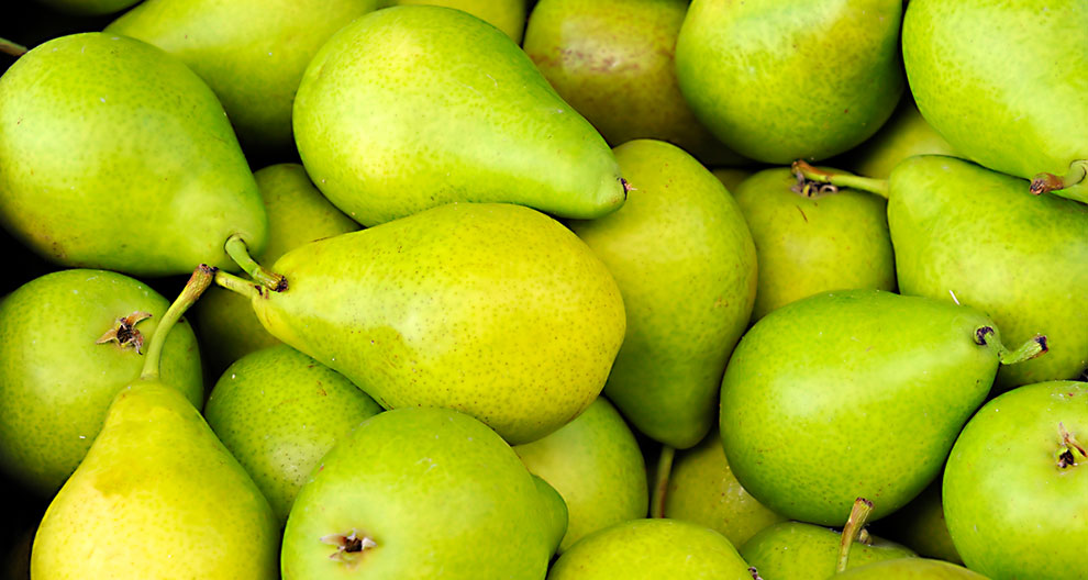 A close-up view of green pears.